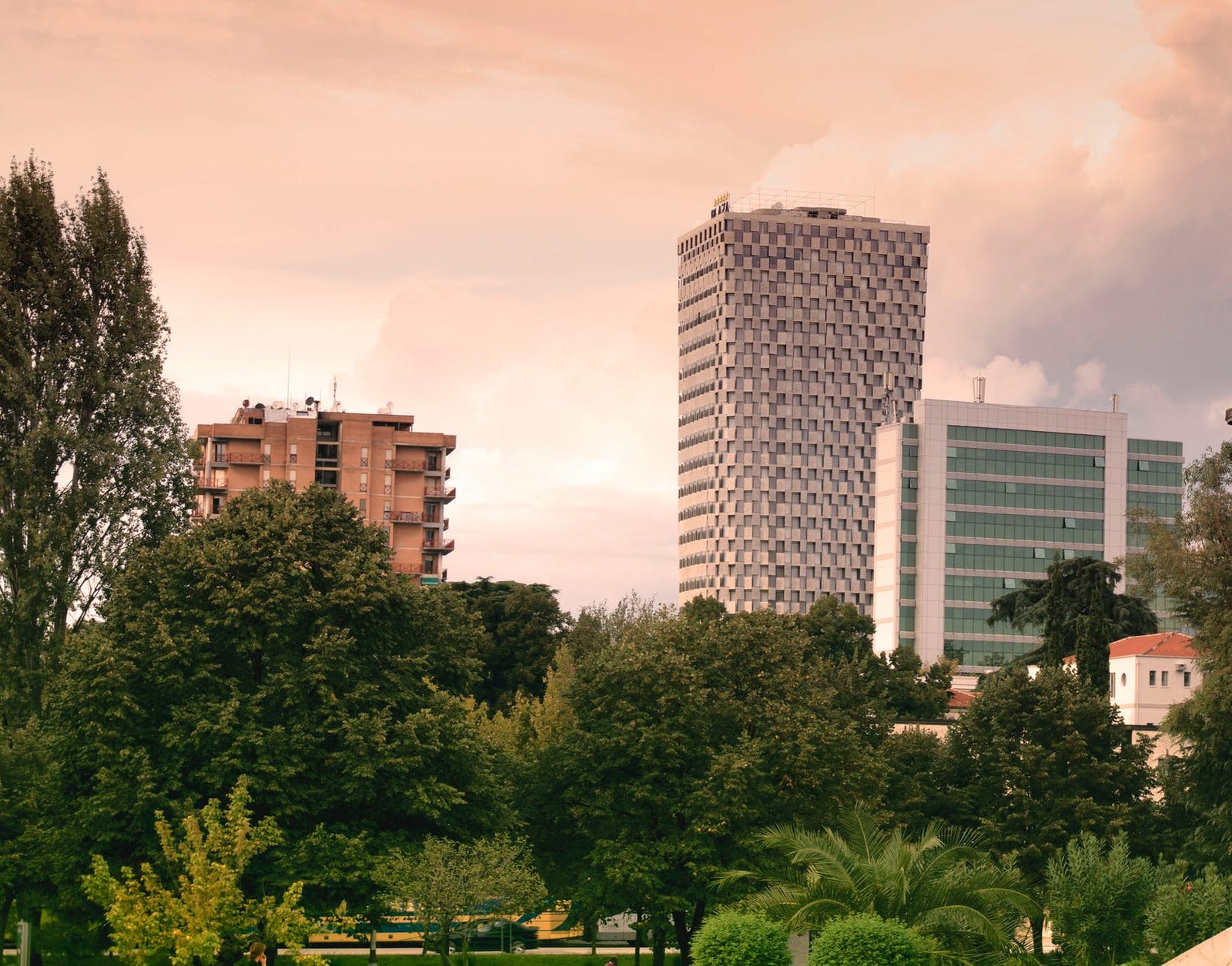 high rise buildings near green leaf trees under white sky during daytime