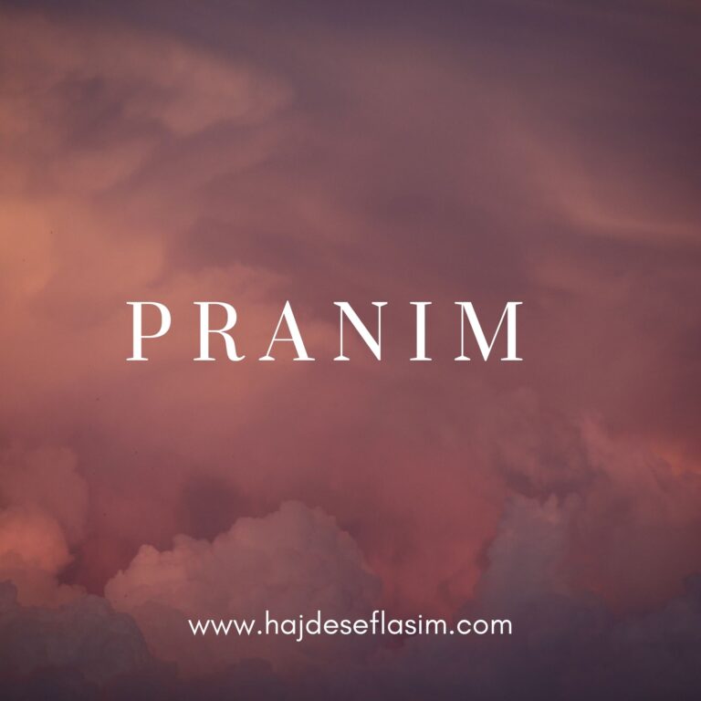 Read more about the article Pranim