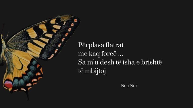 Read more about the article Përplasje flatrash