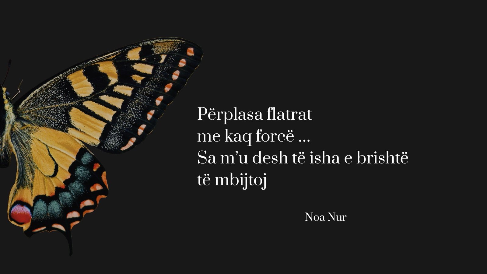 You are currently viewing Përplasje flatrash