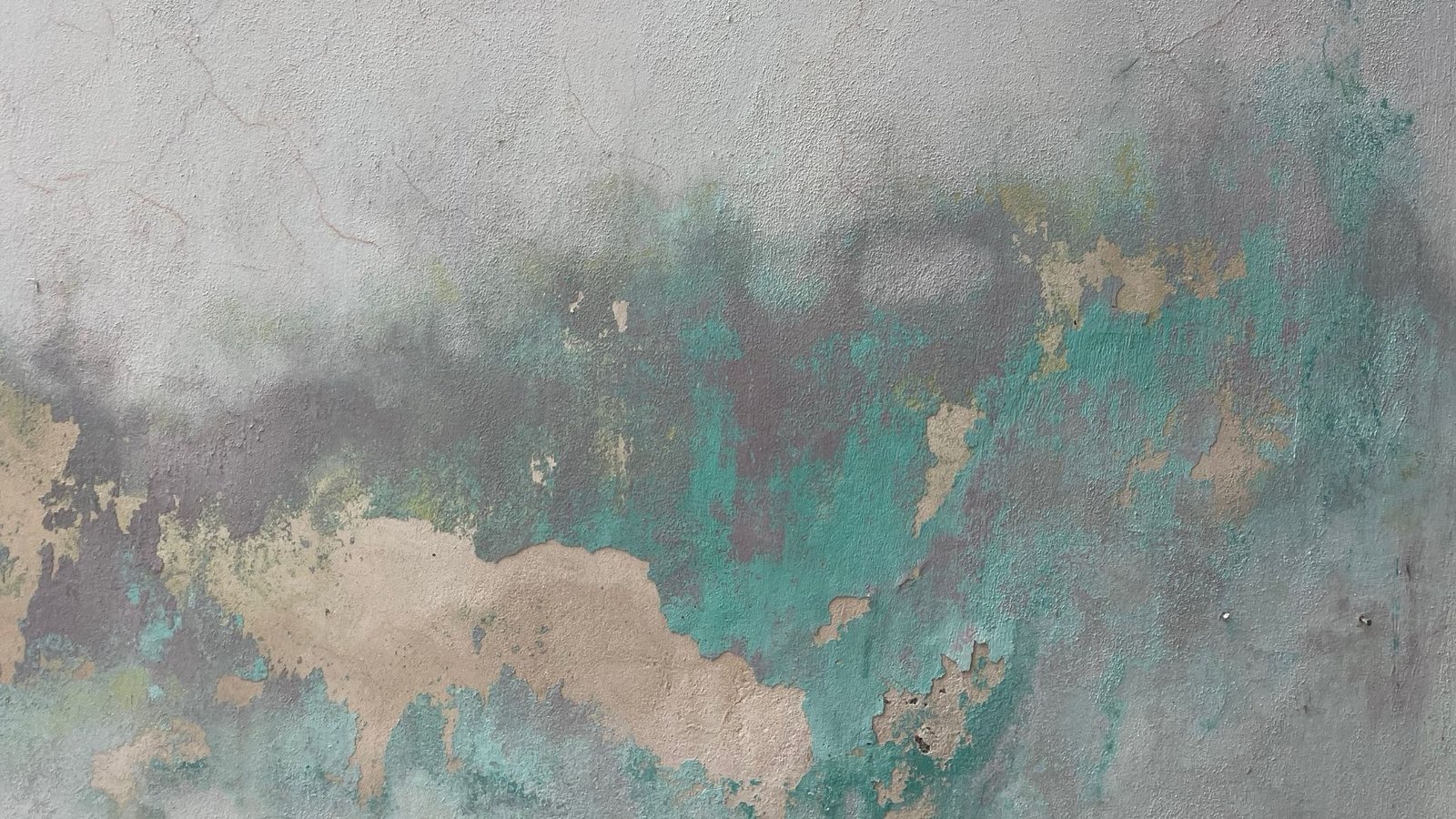 You are currently viewing Reflekse mbi mure