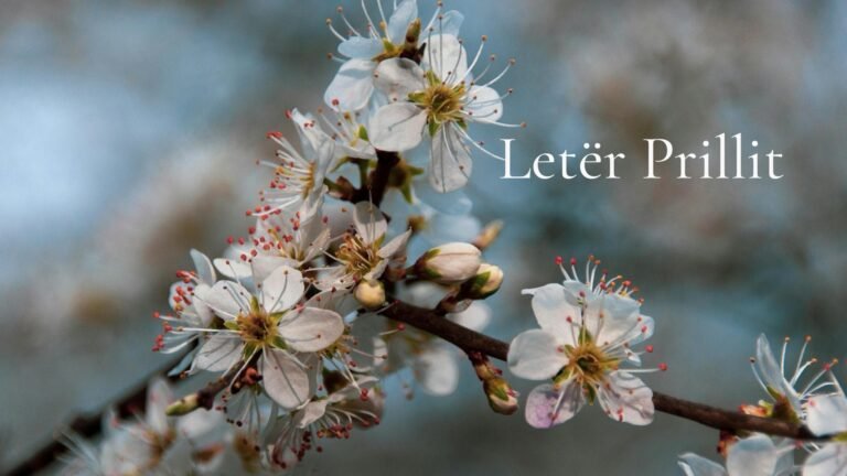 Read more about the article Letër Prillit
