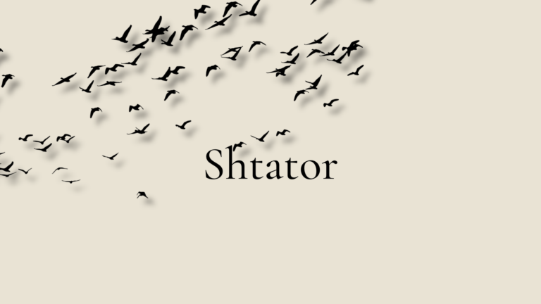 Read more about the article Shtator