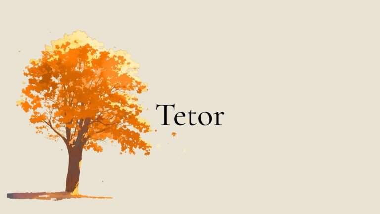 Read more about the article Tetor